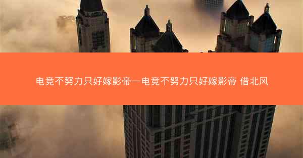 电竞不努力只好嫁影帝—电竞不努力只好嫁影帝 借北风
