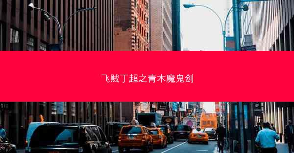 飞贼丁超之青木魔鬼剑