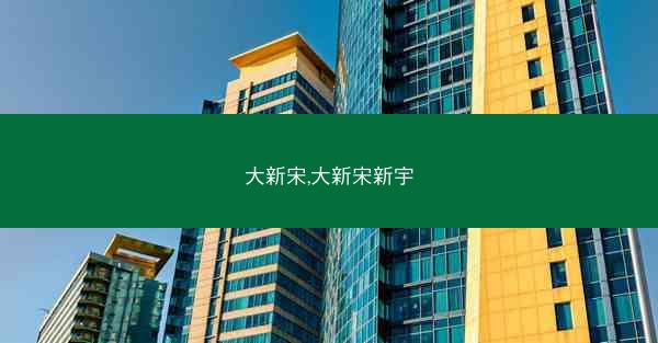 大新宋,大新宋新宇