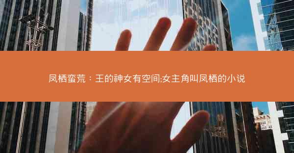 凤栖蛮荒：王的神女有空间;女主角叫凤栖的小说