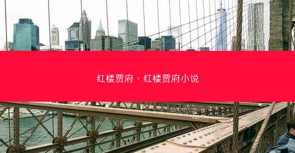 红楼贾府、红楼贾府小说