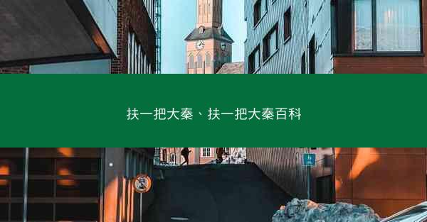扶一把大秦、扶一把大秦百科