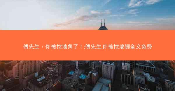 傅先生，你被挖墙角了！;傅先生,你被挖墙脚全文免费
