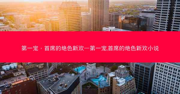第一宠，首席的绝色新欢—第一宠,首席的绝色新欢小说