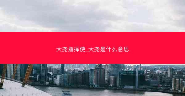 大尧指挥使_大尧是什么意思