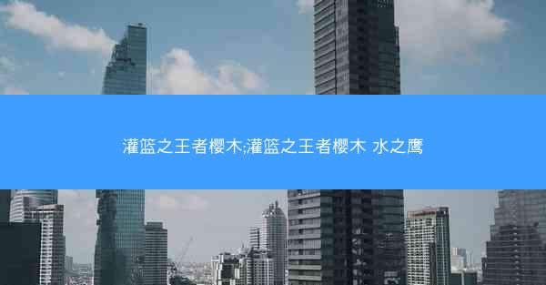 灌篮之王者樱木;灌篮之王者樱木 水之鹰