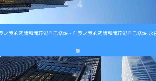 斗罗之我的武魂和魂环能自己修炼、斗罗之我的武魂和魂环能自己修炼 永夜司晨