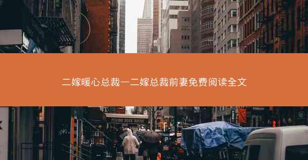 二嫁暖心总裁—二嫁总裁前妻免费阅读全文