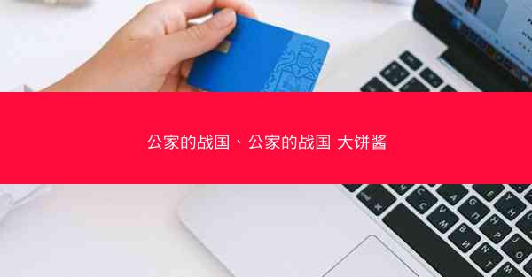 公家的战国、公家的战国 大饼酱