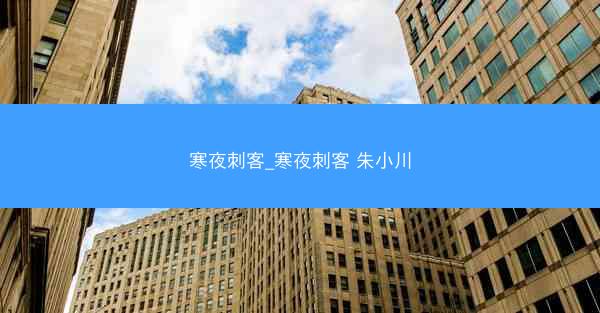 寒夜刺客_寒夜刺客 朱小川