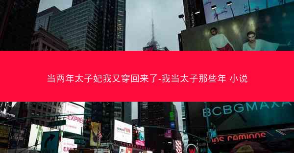 当两年太子妃我又穿回来了-我当太子那些年 小说