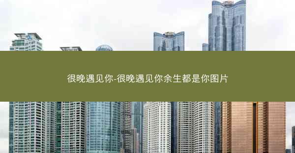很晚遇见你-很晚遇见你余生都是你图片