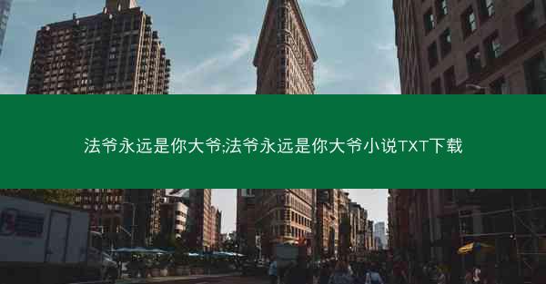 法爷永远是你大爷;法爷永远是你大爷小说TXT下载