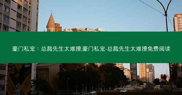 豪门私宠：总裁先生太难撩,豪门私宠-总裁先生太难撩免费阅读