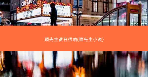 顾先生很狂很痞(顾先生小说)