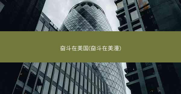 奋斗在美国(奋斗在美漫)