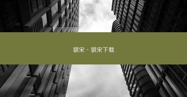 狠宋、狠宋下载