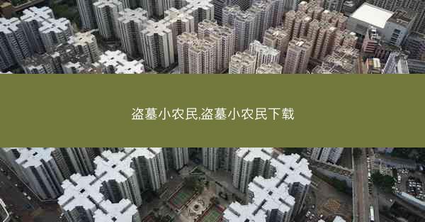盗墓小农民,盗墓小农民下载