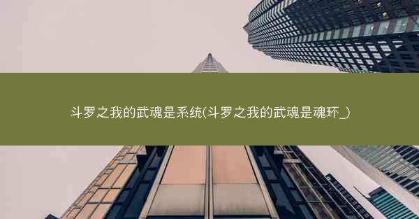 斗罗之我的武魂是系统(斗罗之我的武魂是魂环_)
