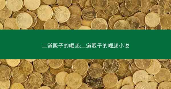 二道贩子的崛起;二道贩子的崛起小说