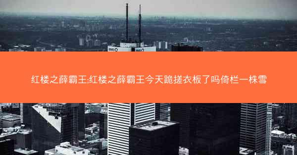 红楼之薛霸王;红楼之薛霸王今天跪搓衣板了吗倚栏一株雪