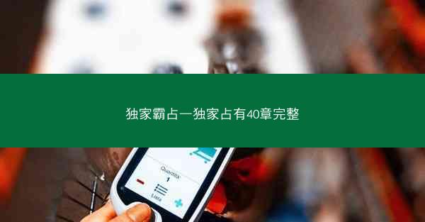 独家霸占—独家占有40章完整