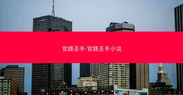 官路圣手-官路圣手小说