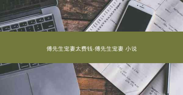 傅先生宠妻太费钱-傅先生宠妻 小说