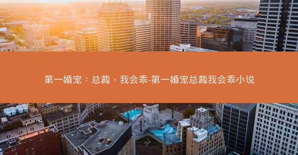 第一婚宠：总裁，我会乖-第一婚宠总裁我会乖小说