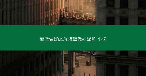 灌篮做好配角,灌篮做好配角 小说