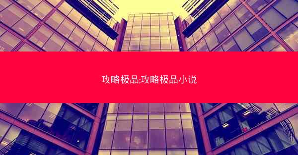 攻略极品;攻略极品小说