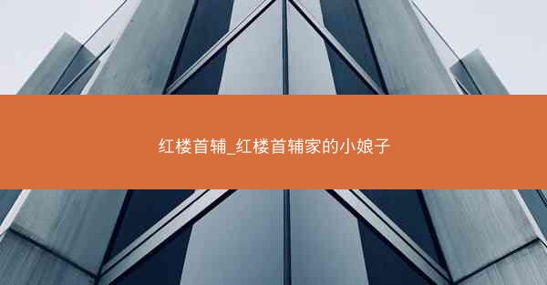 红楼首辅_红楼首辅家的小娘子