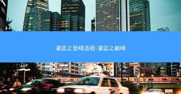 灌篮之登峰造极-灌篮之巅峰