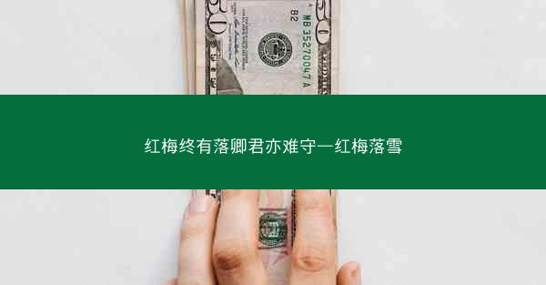 红梅终有落卿君亦难守—红梅落雪