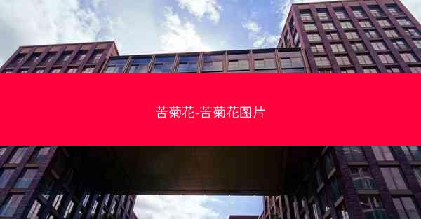 苦菊花-苦菊花图片