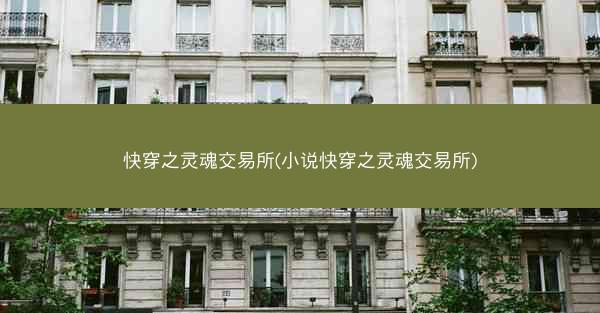 快穿之灵魂交易所(小说快穿之灵魂交易所)
