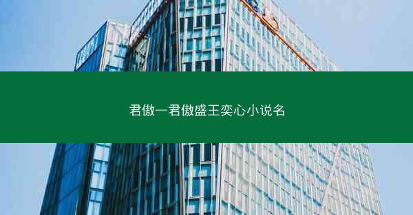 君傲—君傲盛王奕心小说名