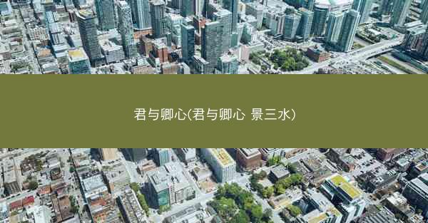 君与卿心(君与卿心 景三水)