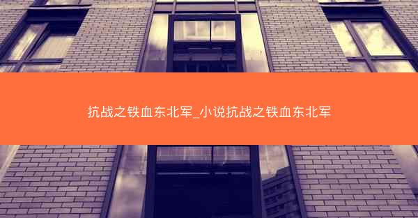 抗战之铁血东北军_小说抗战之铁血东北军