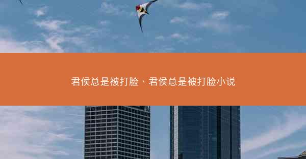 君侯总是被打脸、君侯总是被打脸小说