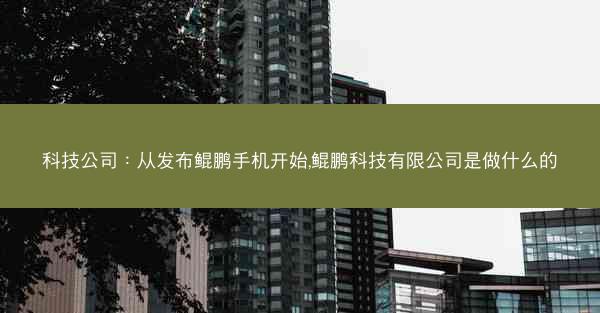 科技公司：从发布鲲鹏手机开始,鲲鹏科技有限公司是做什么的