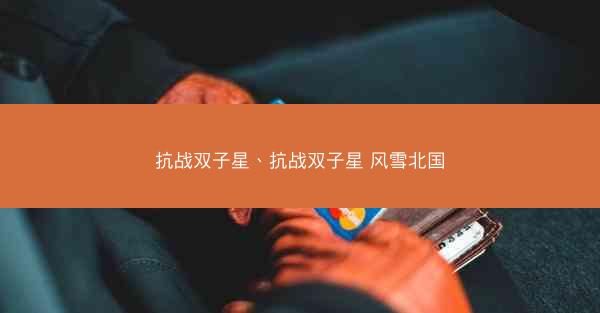 抗战双子星、抗战双子星 风雪北国