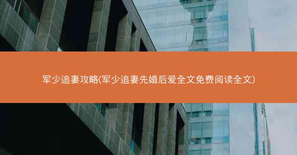 军少追妻攻略(军少追妻先婚后爱全文免费阅读全文)