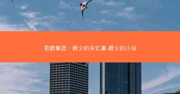 君爵集团：爵少的失忆妻-爵少的小说