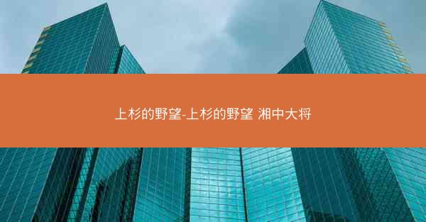 上杉的野望-上杉的野望 湘中大将