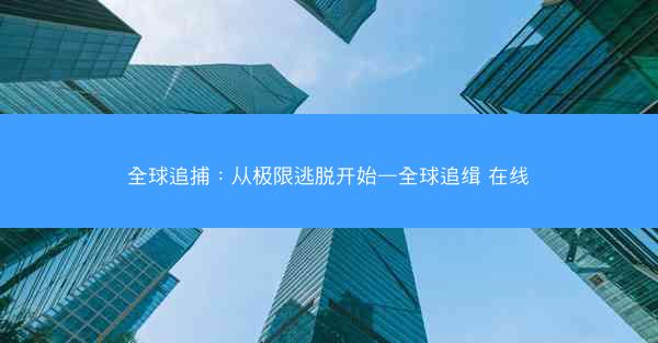 全球追捕：从极限逃脱开始—全球追缉 在线