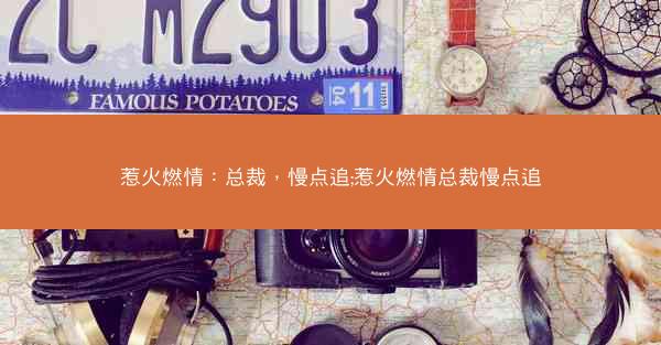 惹火燃情：总裁，慢点追;惹火燃情总裁慢点追