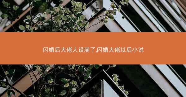 闪婚后大佬人设崩了,闪婚大佬以后小说
