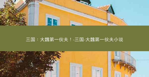 三国：大魏第一伙夫！-三国-大魏第一伙夫小说