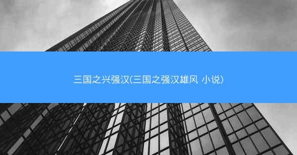 三国之兴强汉(三国之强汉雄风 小说)